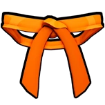 Dojo Belt (Orange)