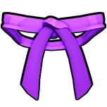 Dojo Belt (Purple)