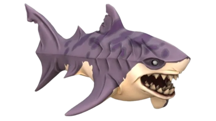 鯊魚（Shark）