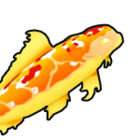 龍錦鯉 Dragon Koi