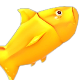 黃金鯉 Golden Carp