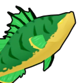 海帶鱸魚 Kelp Bass