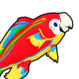 鸚鵡魚 Parrotfish