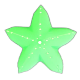 海星（綠） Starfish (Green)