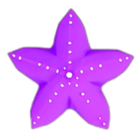 海星（紫） Starfish (Purple)