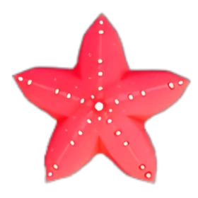 海星（紅） Starfish (Red)