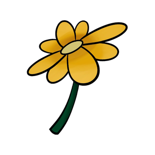 黃花（Yellow Flower）